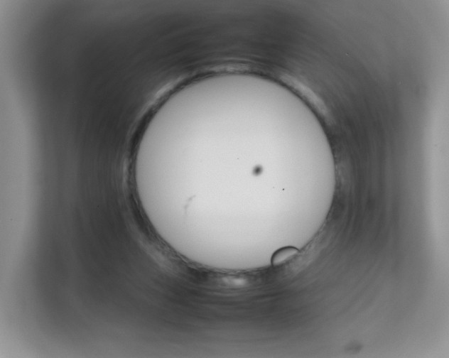 X0000111680159200907241240