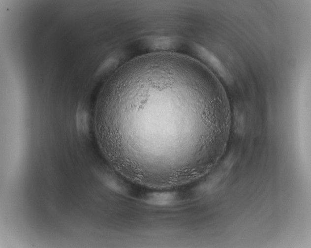 X0000111680161200907241240