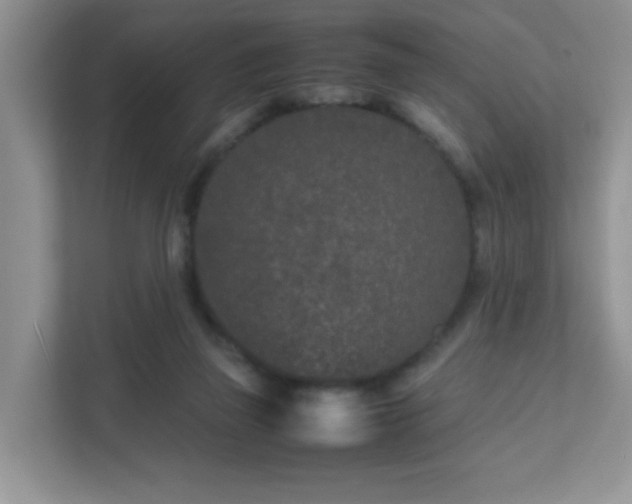 X0000111680165200907241240