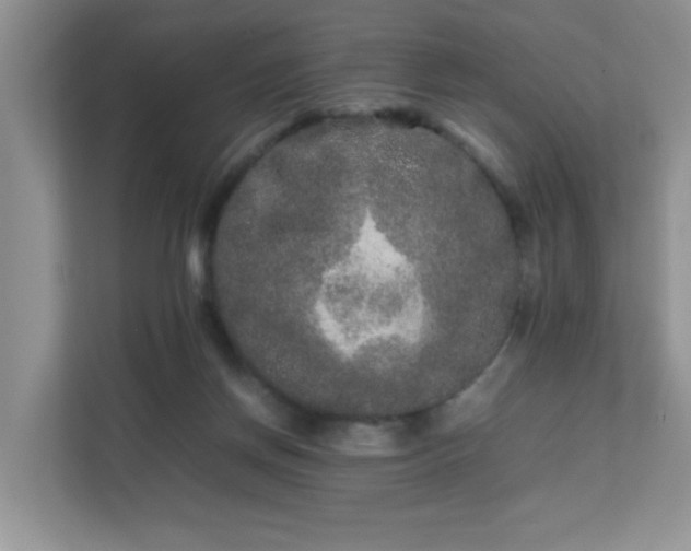 X0000111680166200907241240