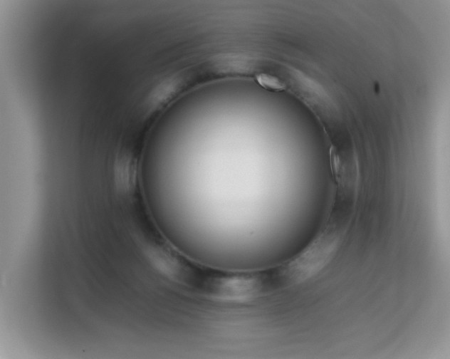 X0000111680168200907241240