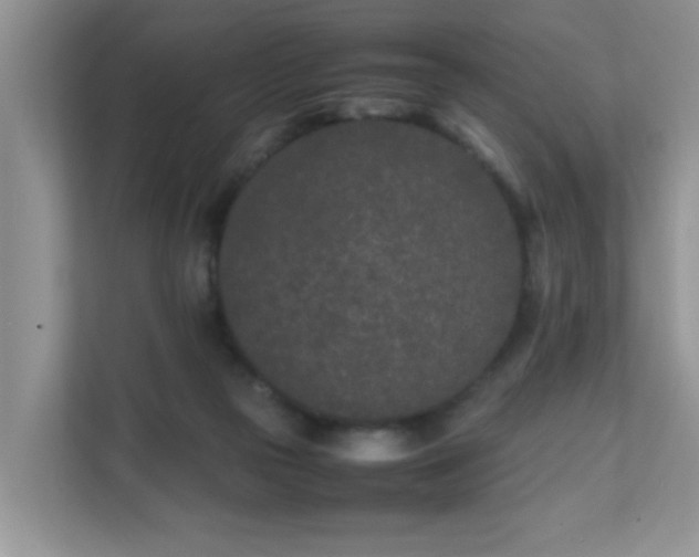 X0000111680169200907241240