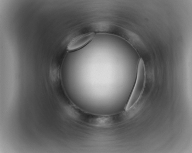 X0000111680172200907241240