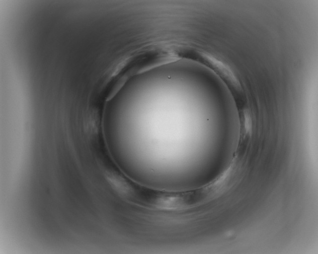 X0000111680174200907241240