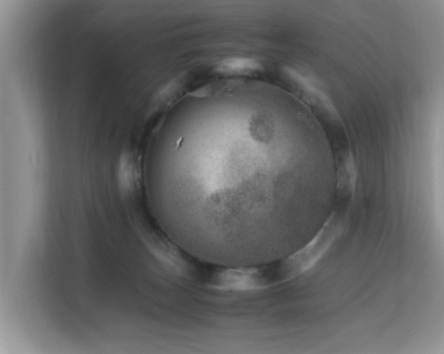 X0000111680179200907241240