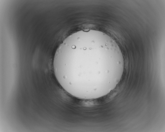 X0000111680181200907241240