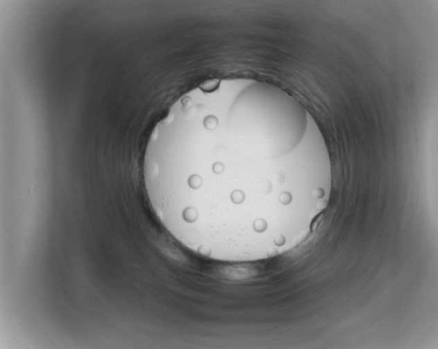 X0000111680183200907241240