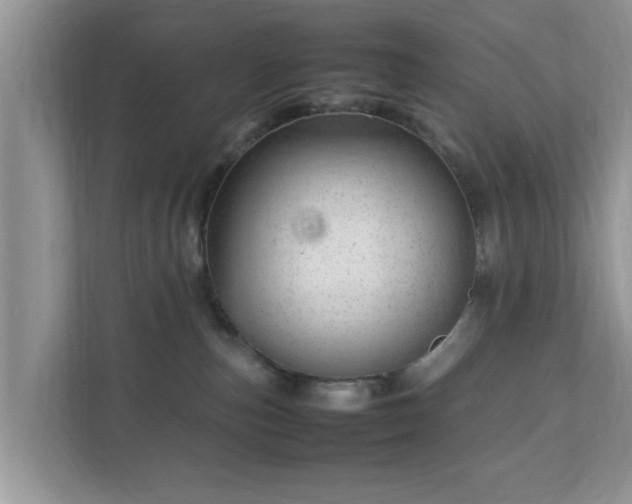 X0000111680187200907241240