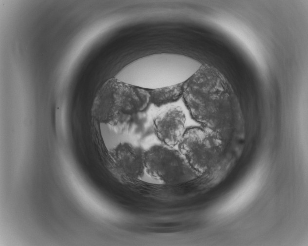 X0000111680189200907241240