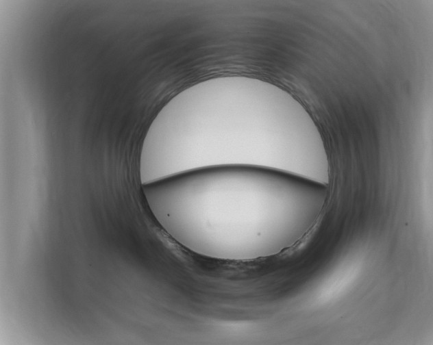 X0000111680190200907241240