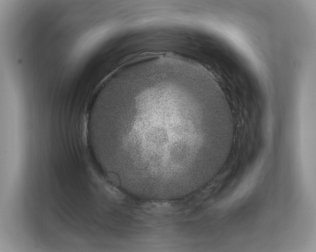 X0000111680194200907241240