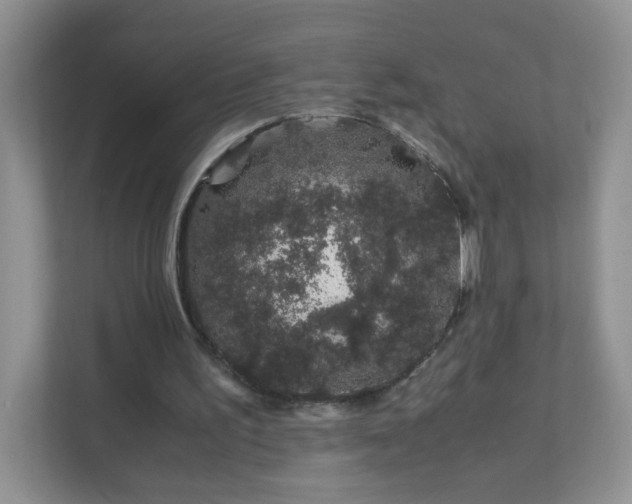 X0000111680195200907241240