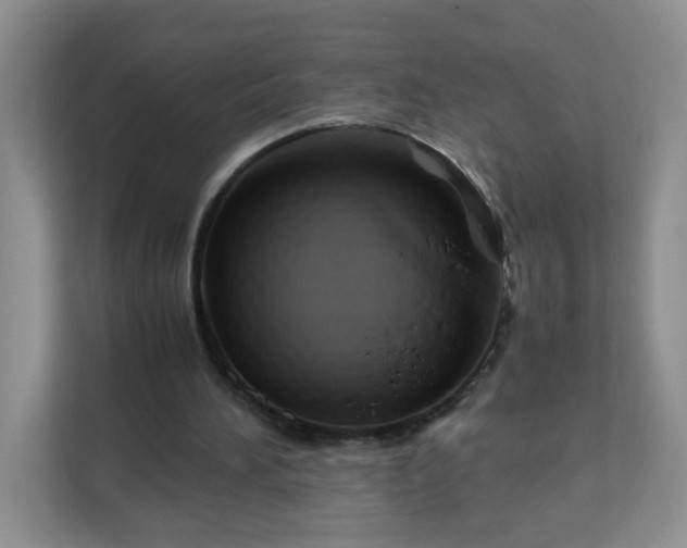 X0000111680196200907241240