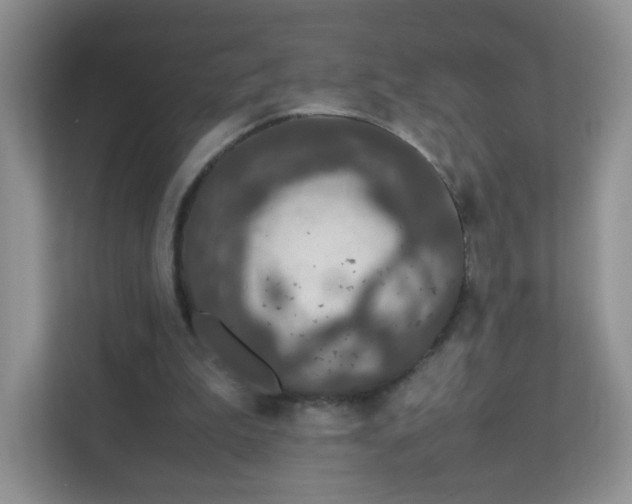 X0000111680199200907241240