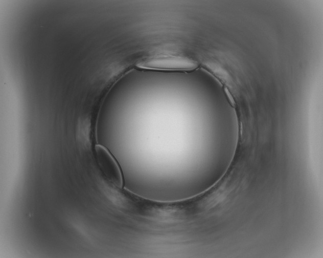 X0000111680201200907241240