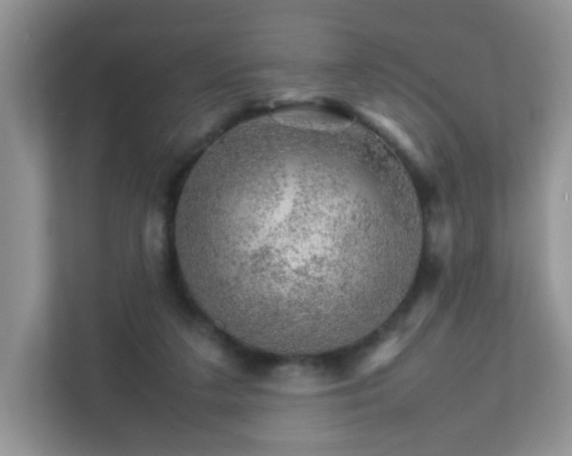 X0000111680211200907241240