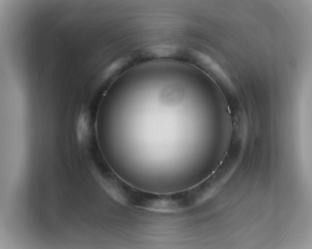 X0000111680212200907241240