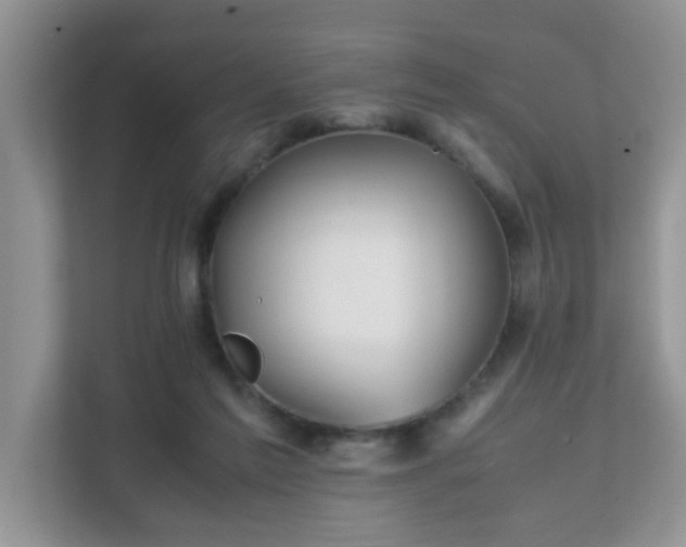 X0000111680213200907241239