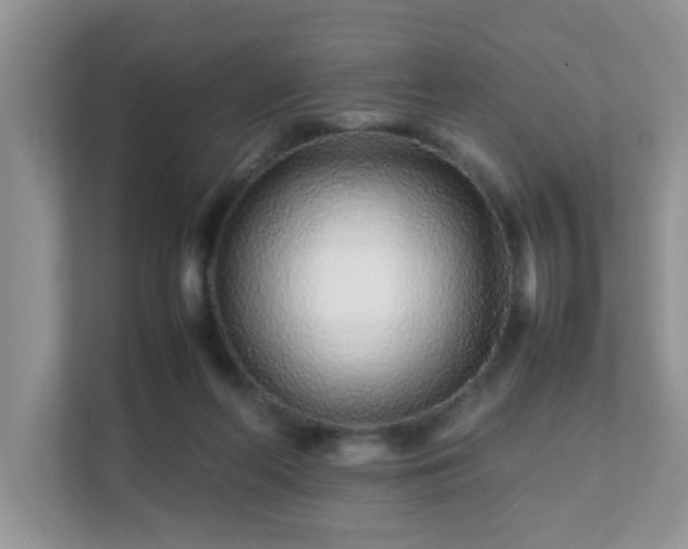 X0000111680214200907241239