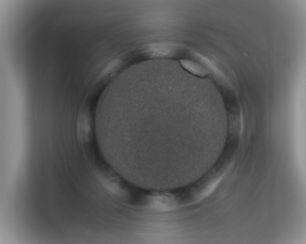 X0000111680215200907241239