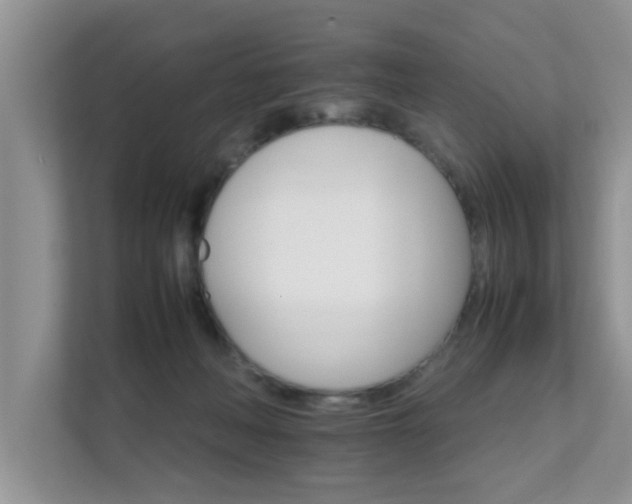 X0000111680222200907241239