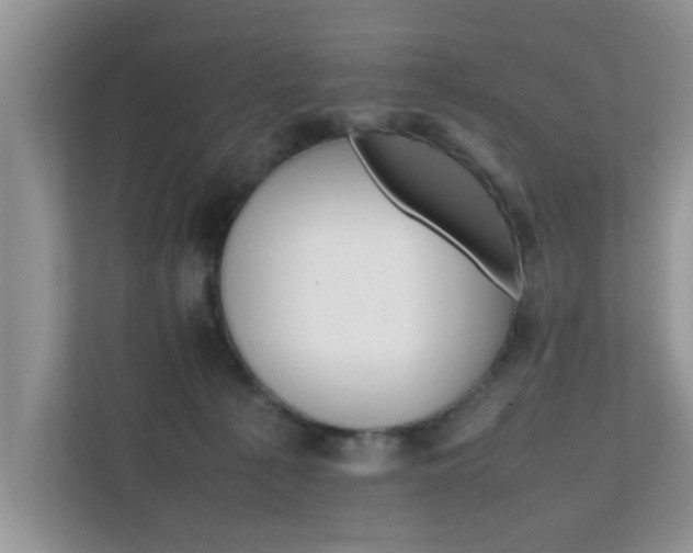 X0000111680225200907241239