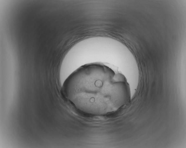 X0000111680227200907241239