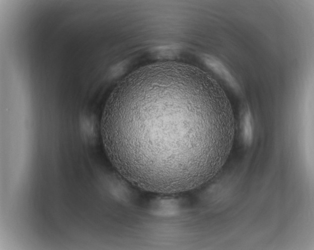 X0000111680228200907241239