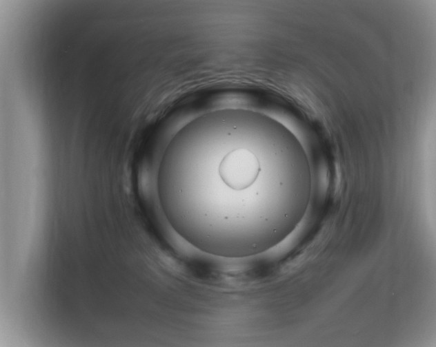 X0000111680229200907241239