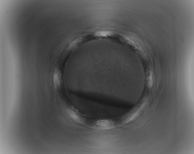 X0000111680231200907241239