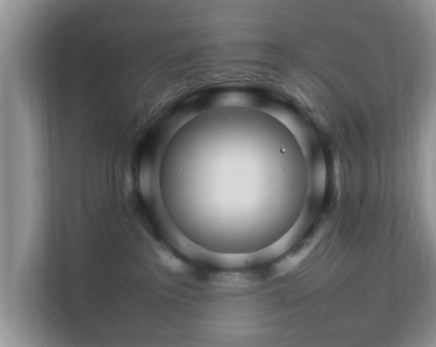 X0000111680237200907241239