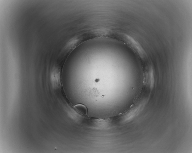 X0000111680238200907241239