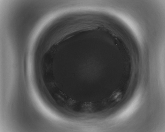 X0000111680239200907241239