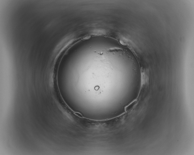 X0000111680243200907241238