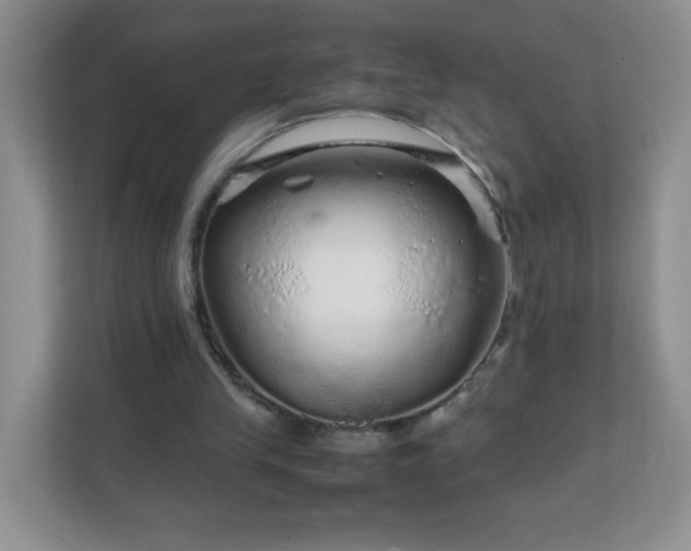 X0000111680245200907241238