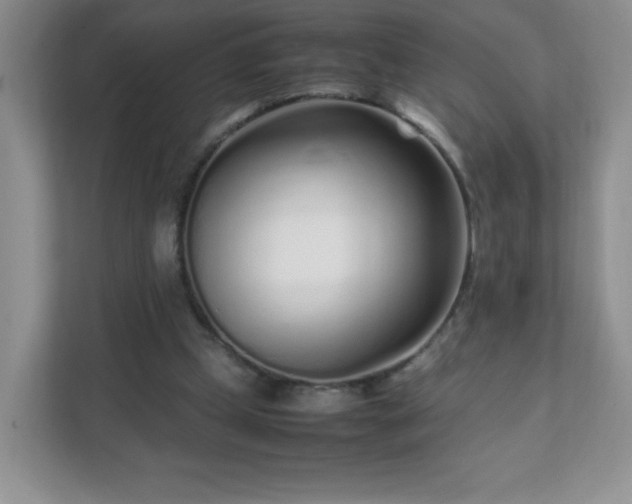 X0000111680249200907241238