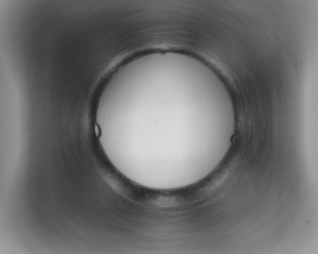 X0000111680256200907241239