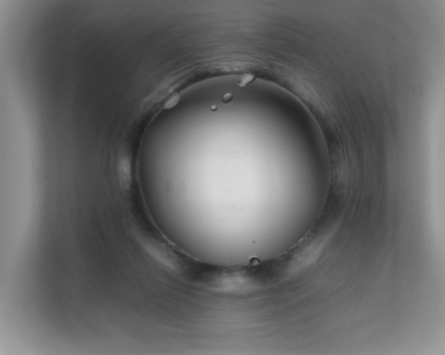 X0000111680262200907241239