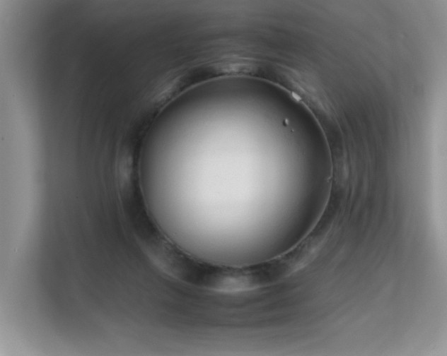 X0000111680263200907241239