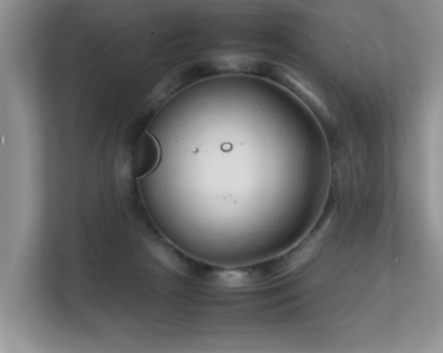 X0000111680265200907241239