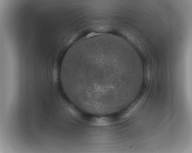 X0000111680268200907241239