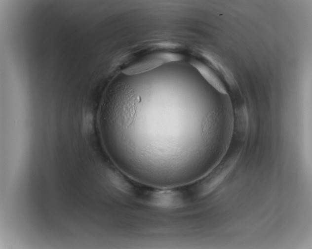 X0000111680269200907241239