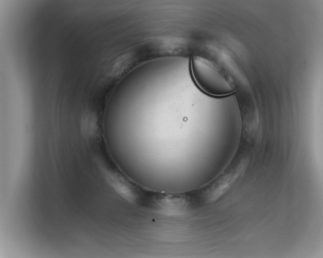 X0000111680270200907241239