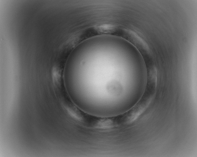 X0000111680271200907241239