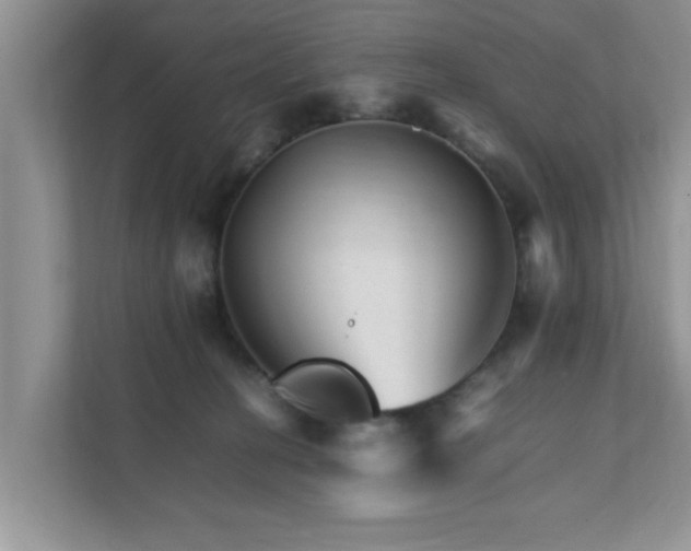 X0000111680274200907241239