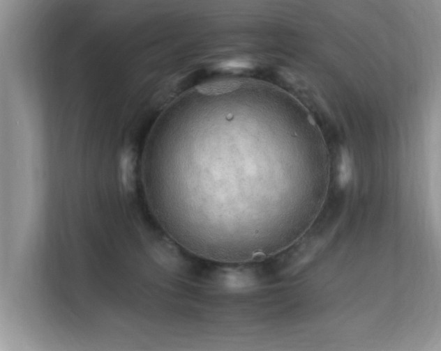 X0000111680275200907241239