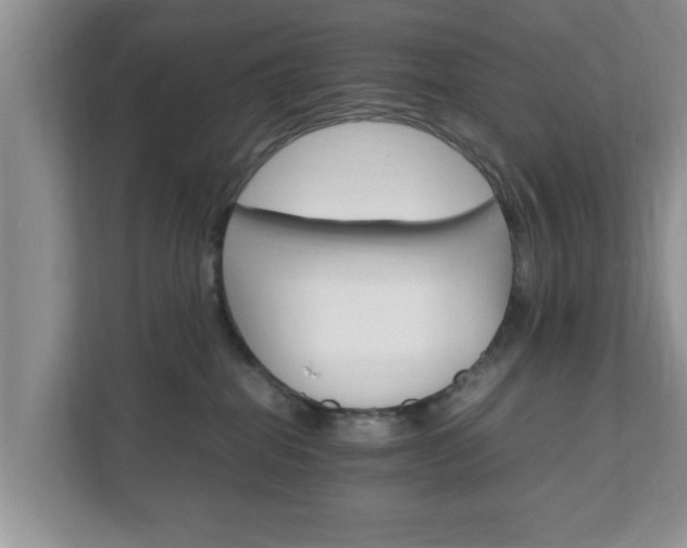 X0000111680282200907241239