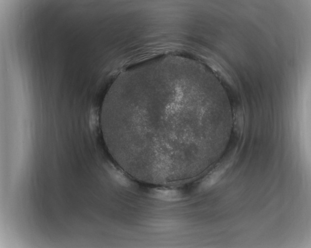 X0000111680284200907241239