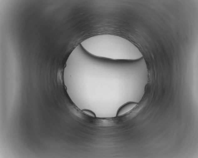 X0000111680286200907241239