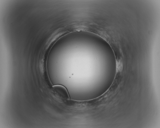 X0000111680291200907241238